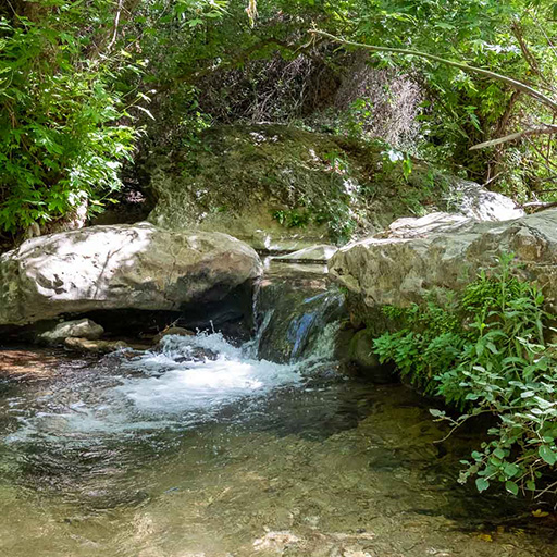 וידאו נחל כזיב