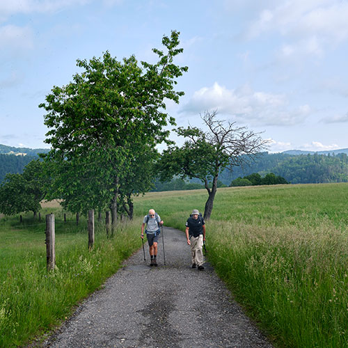 Malerweg Video - ״דרך הציירים״ וידאו