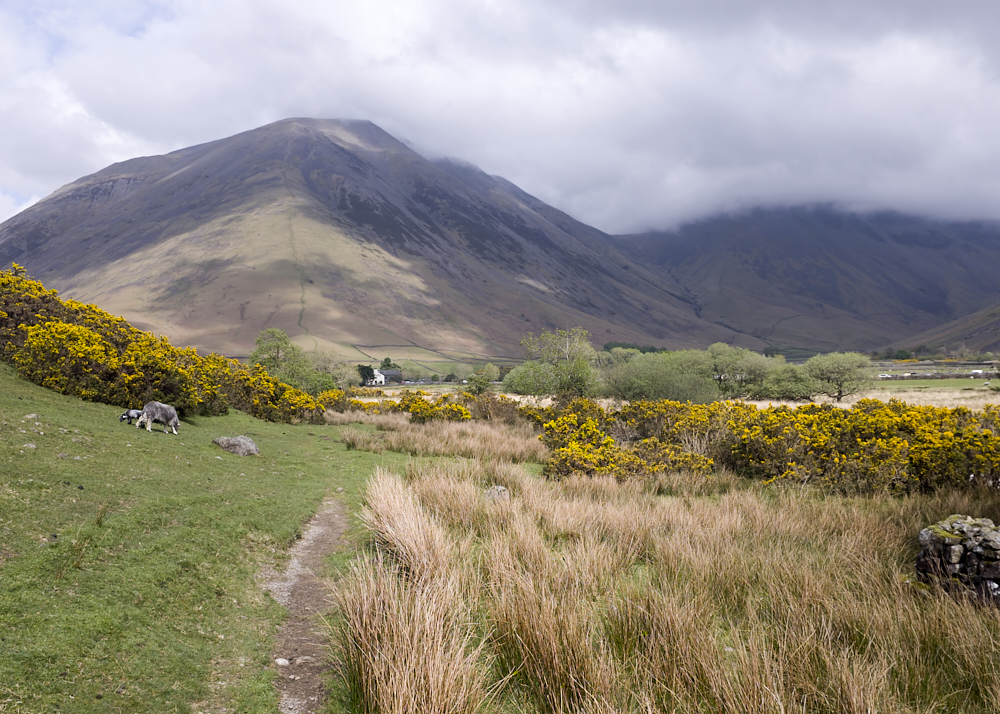 On Way to Wasdle Head