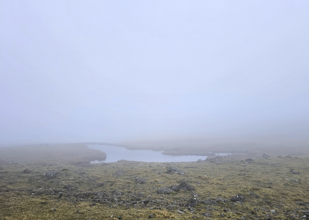 White Conditions